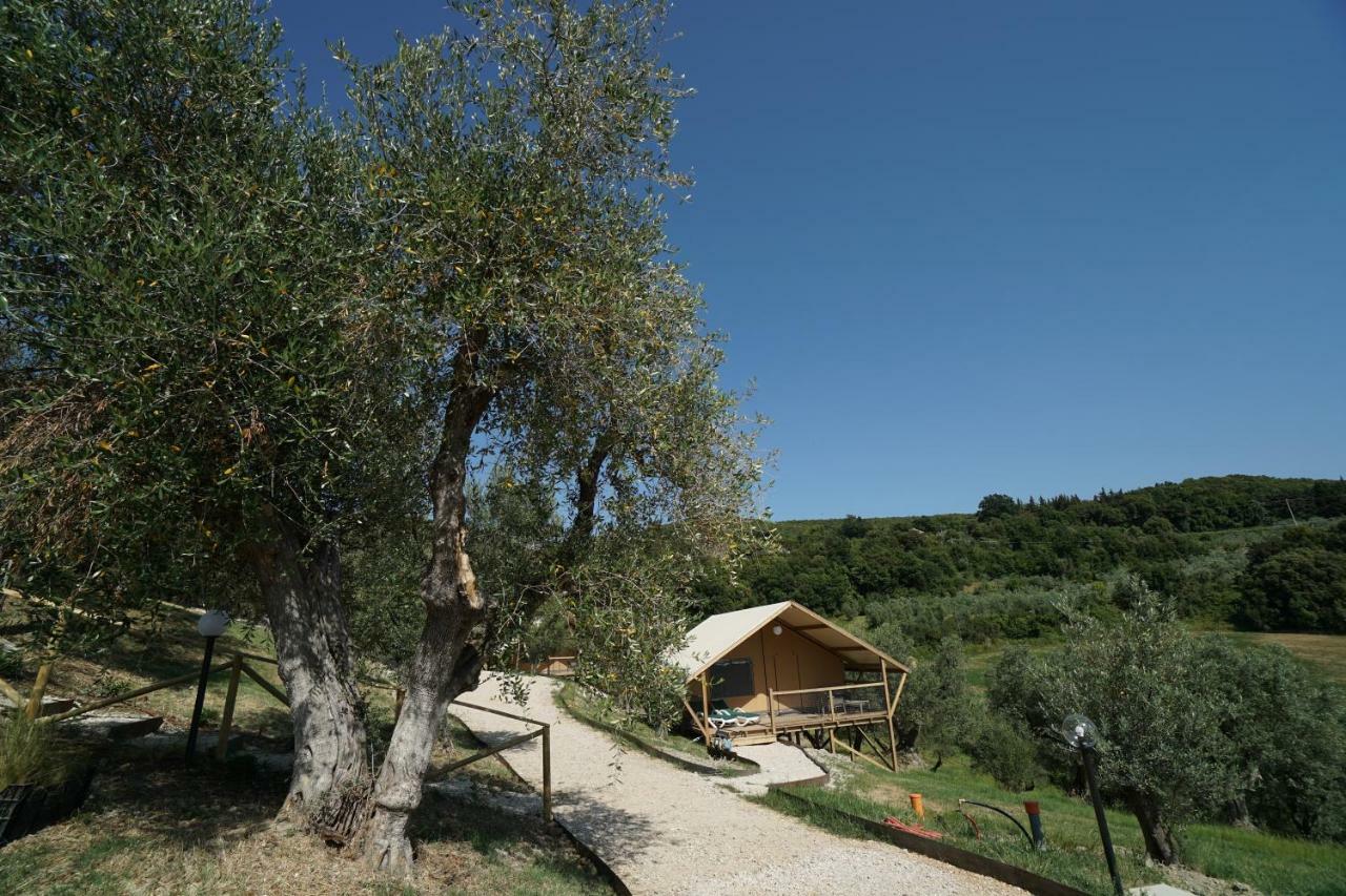 Podere Cortesi Agriturismo Molinaccio Santa Luce Extérieur photo